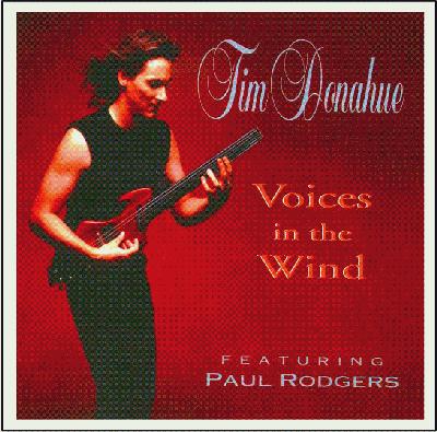 Tim Donahue - Cover of Voices in the Wind